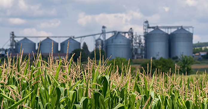 El sector agroalimentario mundial en 2023